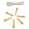 Gold acoustic guitar bridge pins with removal tool Six gold-colored acoustic guitar bridge pins with a metal bridge pin removal tool