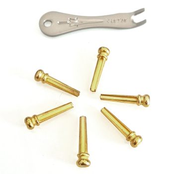 Gold acoustic guitar bridge pins with removal tool Six gold-colored acoustic guitar bridge pins with a metal bridge pin removal tool