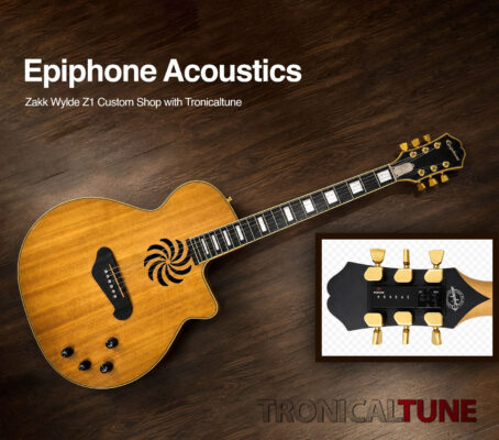 epiphone z1 Guitar Hall of Tune